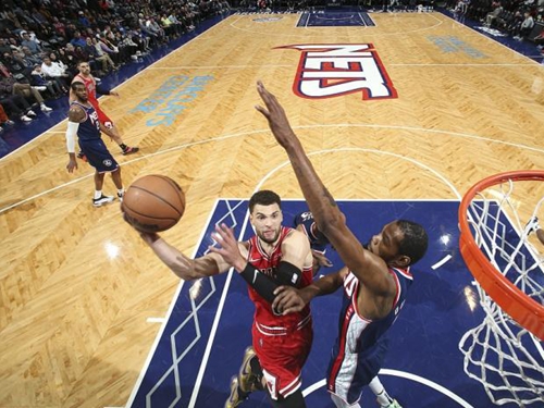 新奥尔良鹈 新奥尔良鹈